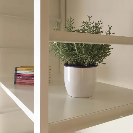 Appartement Holiday